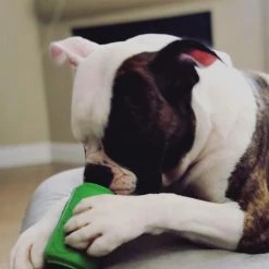 SodaPup Can Treat Dispensing Tough Dog Chew Toy -Deals Marvel Store✌️ 153127 PT5. SY630 V1541010302