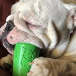 SodaPup Can Treat Dispensing Tough Dog Chew Toy -Deals Marvel Store✌️ 153127 PT8. SY630 V1541010307