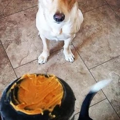 SodaPup Magnum Can Treat Dispensing Tough Dog Chew Toy 16 SodaPup Magnum Can Treat Dispensing Tough Dog Chew Toy -Deals Marvel Store✌️ 153136 PT5. SY630 V1541010309