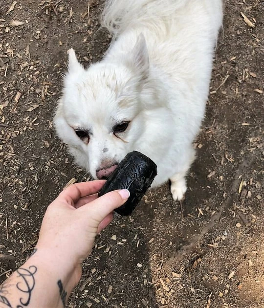 SodaPup Magnum Can Treat Dispensing Tough Dog Chew Toy 11 SodaPup Magnum Can Treat Dispensing Tough Dog Chew Toy - Image 9