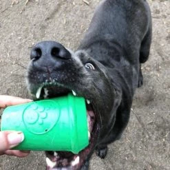 SodaPup Coffee Cup Treat Dispensing Tough Dog Chew Toy 16 SodaPup Coffee Cup Treat Dispensing Tough Dog Chew Toy -Deals Marvel Store✌️ 153143 PT5. SY630 V1541010314