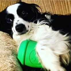 SodaPup Coffee Cup Treat Dispensing Tough Dog Chew Toy 19 SodaPup Coffee Cup Treat Dispensing Tough Dog Chew Toy -Deals Marvel Store✌️ 153143 PT8. SY630 V1541010316