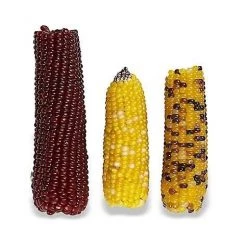 Vitakraft Mini Pops 100% Real Corn Cob Small Pet Treat, 6-oz bag 9 Vitakraft Mini Pops 100% Real Corn Cob Small Pet Treat, 6-oz bag -Deals Marvel Store✌️ 155078 PT2. SY630 V1542148313