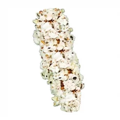 Vitakraft Mini Pops 100% Real Corn Cob Small Pet Treat, 6-oz bag 10 Vitakraft Mini Pops 100% Real Corn Cob Small Pet Treat, 6-oz bag -Deals Marvel Store✌️ 155078 PT3. SY630 V1542148315