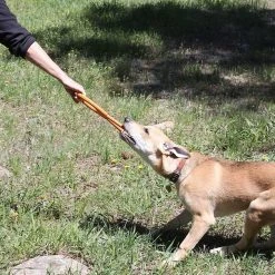 SodaPup Can Opener Tug Dog Chew Toy -Deals Marvel Store✌️ 181053 PT5. SY630 V1564608159