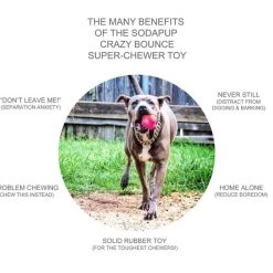 SodaPup Crazy Bounce Retrieving Tough Dog Chew Toy -Deals Marvel Store✌️ 181055 PT4. SY630 V1564608176