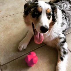 SodaPup Crazy Bounce Retrieving Tough Dog Chew Toy -Deals Marvel Store✌️ 181055 PT5. SY630 V1564608179