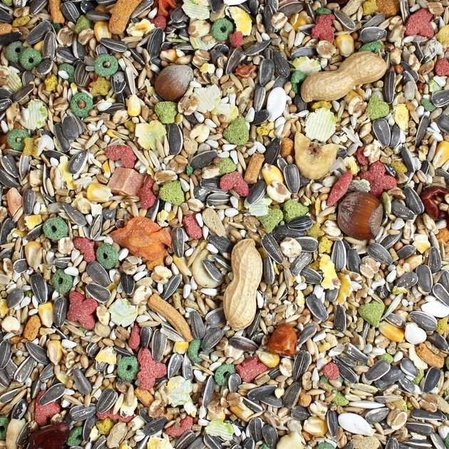 Vitakraft VitaSmart Complete Nutrition Parrot Food, 7-lb bag 5 Vitakraft VitaSmart Complete Nutrition Parrot Food, 7-lb bag - Image 3