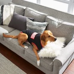 Marvel Logo Dog & Cat T-Shirt, Black -Deals Marvel Store✌️ 220337 PT7. SY630 V1613668973