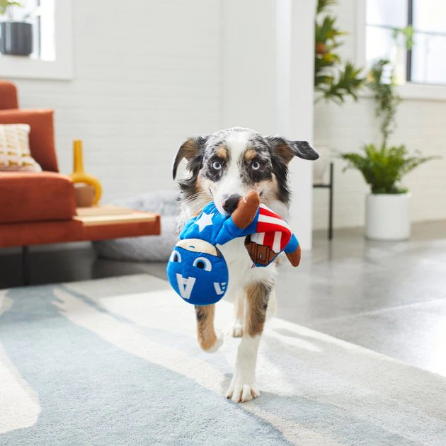 Marvel 's Captain America Bungee Plush Squeaky Dog Toy 5 Marvel 's Captain America Bungee Plush Squeaky Dog Toy - Image 3