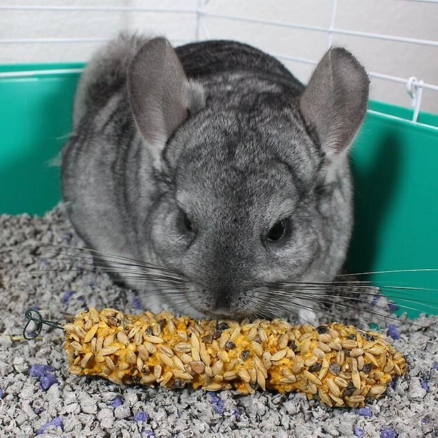 Vitakraft Crunch Sticks Honey with Added Calcium Chinchilla Treat 5 Vitakraft Crunch Sticks Honey with Added Calcium Chinchilla Treat - Image 3