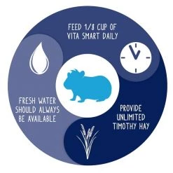Vitakraft Vita Smart Complete Nutrition Premium Fortified Blend with Timothy Hay Guinea Pig Food, 4-lb bag -Deals Marvel Store✌️ 236580 PT4. SY630 V1590787268