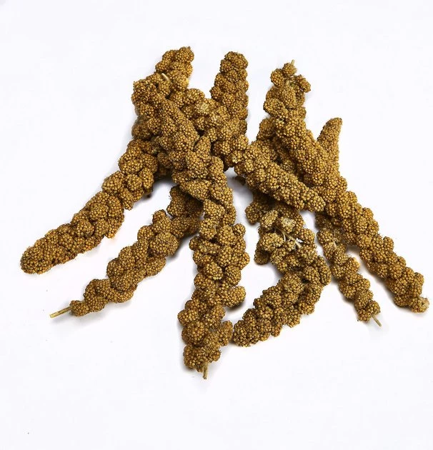 Kaytee||Vitakraft Kaytee Natural Spray Millet Bird Treats, 12 count & Vitakraft Menu Care Complex Cockatiel Food, 5-lb bag 4 Kaytee||Vitakraft Kaytee Natural Spray Millet Bird Treats, 12 count & Vitakraft Menu Care Complex Cockatiel Food, 5-lb bag - Image 2