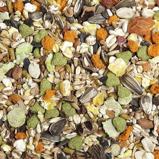 Kaytee||Vitakraft Kaytee Natural Spray Millet Bird Treats, 12 count & Vitakraft Menu Care Complex Cockatiel Food, 5-lb bag 6 Kaytee||Vitakraft Kaytee Natural Spray Millet Bird Treats, 12 count & Vitakraft Menu Care Complex Cockatiel Food, 5-lb bag - Image 4