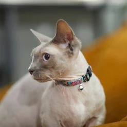 Marvel's Groot Cat Collar 7 Marvel's Groot Cat Collar -Deals Marvel Store✌️ 289409 PT8. SY630 V1634305302