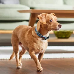 Marvel's Groot Dog Collar 11 Marvel's Groot Dog Collar -Deals Marvel Store✌️ 289421 PT8. SY630 V1634304725