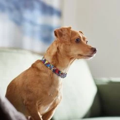 Marvel's Spider-Man Comics Dog Collar -Deals Marvel Store✌️ 289432 PT8. SY630 V1634304579