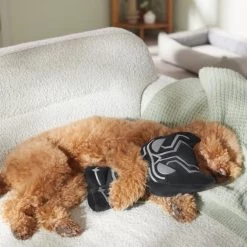 Marvel 'S Black Panther Plush Squeaky Dog Toy -Deals Marvel Store✌️ 316396 PT3. SY630 V1645205738