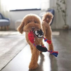 Marvel 'S Venom, Spider-Man & Carnage Plush with Rope Squeaky Dog Toy 7 Marvel 'S Venom, Spider-Man & Carnage Plush with Rope Squeaky Dog Toy -Deals Marvel Store✌️ 316406 PT3. SY630 V1645205561