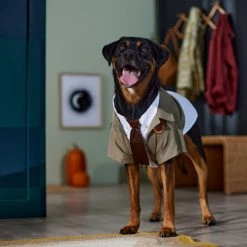 Marvel 's Loki Varient Dog & Cat Jacket -Deals Marvel Store✌️ 335269 PT8. SY630 V1657656950