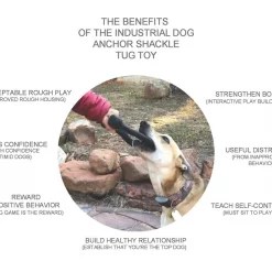 SodaPup Anchor Shackle Tug Dog Toy 12 SodaPup Anchor Shackle Tug Dog Toy -Deals Marvel Store✌️ 346934 PT2. SY630 V1638337304