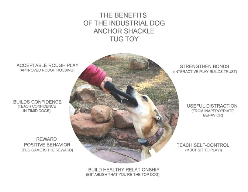 SodaPup Anchor Shackle Tug Dog Toy 5 SodaPup Anchor Shackle Tug Dog Toy - Image 3