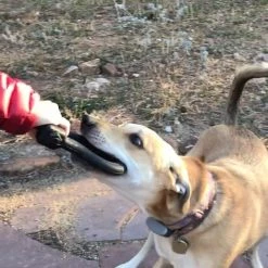 SodaPup Anchor Shackle Tug Dog Toy 16 SodaPup Anchor Shackle Tug Dog Toy -Deals Marvel Store✌️ 346934 PT6. SY630 V1638342429