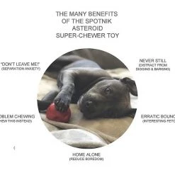 SodaPup Asteroid Rubber Chew Ball & Retrieving Dog Toy 13 SodaPup Asteroid Rubber Chew Ball & Retrieving Dog Toy -Deals Marvel Store✌️ 346936 PT2. SY630 V1638338501