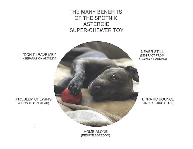 SodaPup Asteroid Rubber Chew Ball & Retrieving Dog Toy 5 SodaPup Asteroid Rubber Chew Ball & Retrieving Dog Toy - Image 3