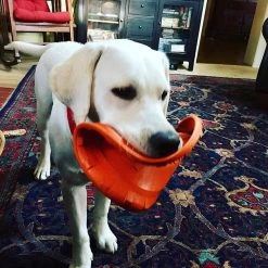 SodaPup Bottle Top Rubber Flying Disk Dog Toy -Deals Marvel Store✌️ 346939 PT5. SY630 V1638401593