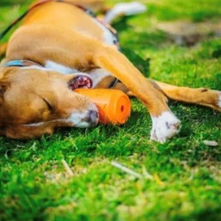 SodaPup Can Treat Dispenser Dog Toy -Deals Marvel Store✌️ 346944 PT5. SY630 V1638339172