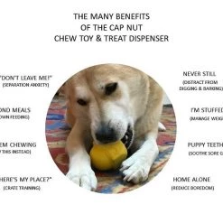 SodaPup Cap Nut Rubber Chew Dog Toy -Deals Marvel Store✌️ 346946 PT5. SY630 V1638314544