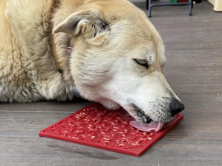 SodaPup Christmas Tree Rubber Treat Dispenser Dog Toy 4 SodaPup Christmas Tree Rubber Treat Dispenser Dog Toy - Image 2