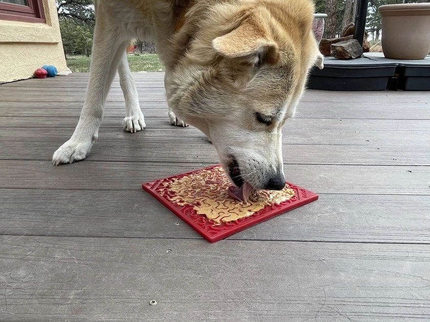 SodaPup Christmas Tree Rubber Treat Dispenser Dog Toy 8 SodaPup Christmas Tree Rubber Treat Dispenser Dog Toy - Image 6