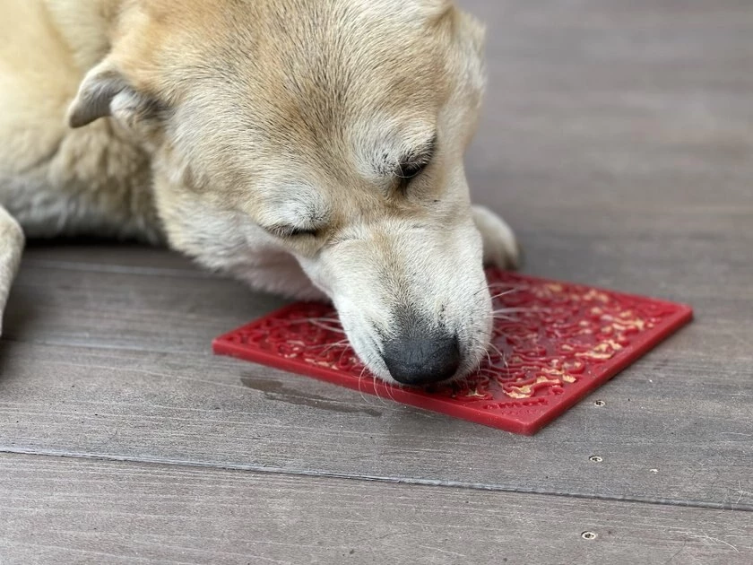 SodaPup Christmas Tree Rubber Treat Dispenser Dog Toy 10 SodaPup Christmas Tree Rubber Treat Dispenser Dog Toy - Image 8