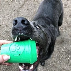 SodaPup Coffee Cup Rubber Treat Dispenser Dog Toy -Deals Marvel Store✌️ 346950 PT5. SY630 V1638317506