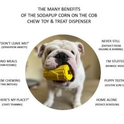 SodaPup Corn on the Cob Rubber Treat Dispenser Dog Toy -Deals Marvel Store✌️ 346954 PT3. SY630 V1638305523