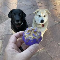 SodaPup Cross Bones Treat Pocket Dog Toy -Deals Marvel Store✌️ 346959 PT5. SY630 V1638312103