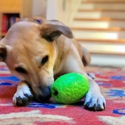 SodaPup Dinosaur Egg Rubber Treat Dispenser Dog Toy -Deals Marvel Store✌️ 346961 PT4. SY630 V1638342427