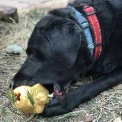 SodaPup Doggie Pharaoh Treat Dispenser Dog Toy -Deals Marvel Store✌️ 346963 PT4. SY630 V1638307075