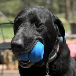 SodaPup Double Trouble Rubber Treat Dispenser Dog Toy 11 SodaPup Double Trouble Rubber Treat Dispenser Dog Toy -Deals Marvel Store✌️ 346966 PT2. SY630 V1638403340