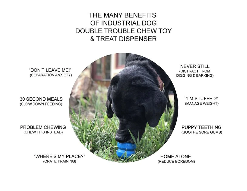 SodaPup Double Trouble Rubber Treat Dispenser Dog Toy 8 SodaPup Double Trouble Rubber Treat Dispenser Dog Toy - Image 6