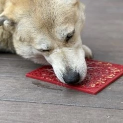 SodaPup Emat Bones Dog Toy -Deals Marvel Store✌️ 346968 PT7. SY630 V1638402991