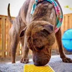 SodaPup Emat Honeycomb Dog Toy -Deals Marvel Store✌️ 346974 PT2. SY630 V1638305809