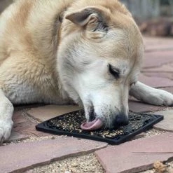 SodaPup Emat Zombie Dog Toy 12 SodaPup Emat Zombie Dog Toy -Deals Marvel Store✌️ 346981 PT4. SY630 V1638403312