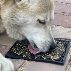 SodaPup Emat Zombie Dog Toy 15 SodaPup Emat Zombie Dog Toy -Deals Marvel Store✌️ 346981 PT7. SY630 V1638402768