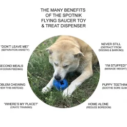 SodaPup Flying Saucer Treat Dispenser Dog Toy -Deals Marvel Store✌️ 346985 PT5. SY630 V1638340047