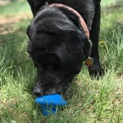 SodaPup Flying Saucer Treat Dispenser Dog Toy -Deals Marvel Store✌️ 346985 PT6. SY630 V1638341494