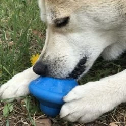 SodaPup Flying Saucer Treat Dispenser Dog Toy -Deals Marvel Store✌️ 346985 PT7. SY630 V1638341201