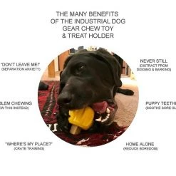 SodaPup Gear Treat Pocket Rubber Chew & Enrichment Dog Toy 12 SodaPup Gear Treat Pocket Rubber Chew & Enrichment Dog Toy -Deals Marvel Store✌️ 346993 PT3. SY630 V1638342129